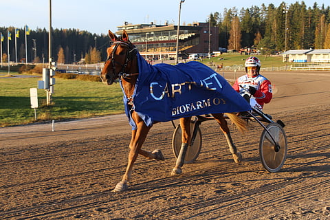 Suomipoika ja Harri Koivunen.