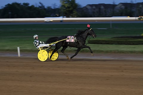 Mission Brief ei saanut lauantai-iltana Red Milen radalla vastusta.
