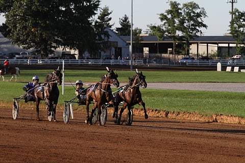 Pinkman ja Yannick Gingras ovat puristaneet otteen Crazy Wowsta ja Tim Tetricistä ja seilaavat kohti toista Triple Crown-voittoaan.