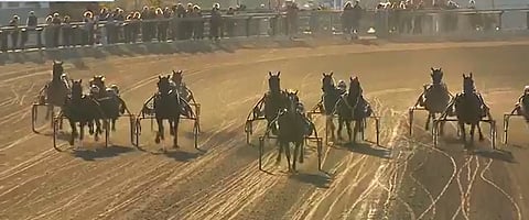 Alfas da Vincin loppukiri kasvatti voittomarginaalin Ruotsin mestaruuskilpailussa suureksi.