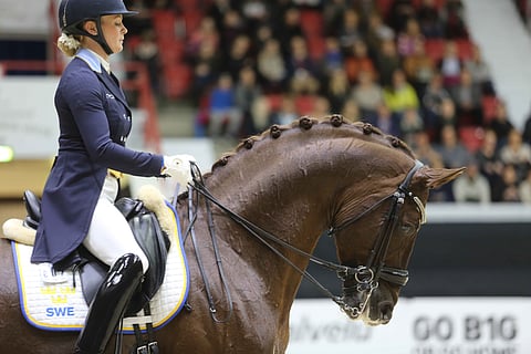 Jeanna Högberg ja Duendecillo P ovat nyt Herningin DWB-oripäivillä.