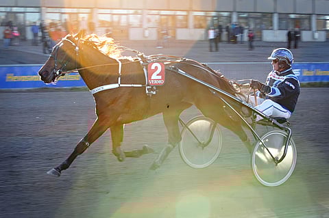 Vermossa aurinko paistoi Kiikku's Chancelle ja Juha Utalalle.