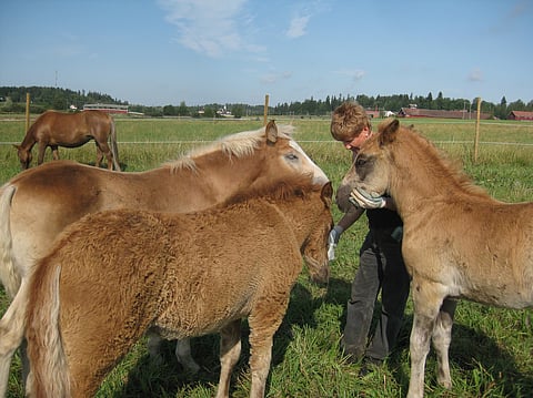 Pauliina Raento  vetää Mestarikasvattajat-suurkimppaa.