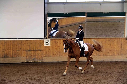 Lodestro ja Sari Aimia johtavat askellajihevosten kilpailua.