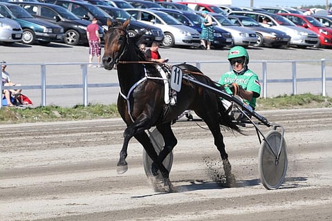 Tomorrowlandin oli määrä startata kultadivisioonafinaalissa radalta yksitoista. Arkistokuva.