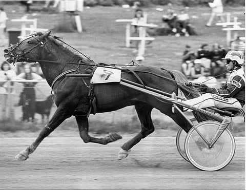 Pette ja Harri Koivunen.