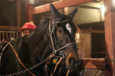 Elian Web hallitsi karsintalähtöään Kuopio Stakesissa. Arkistokuva.