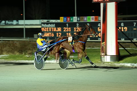 Teemu Toroskan valmentama Grainfield Olivia saa Teivossa taakseen Seppo Markkulan.