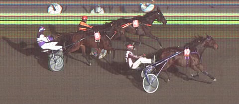 Callela Ladyboss ja Mika Forss vetivät pisimmän korren  3-vuotiaiden tammojen välierässä.