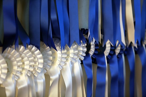 Sinivalkoiset ruusukkeet, FWB, Ride My Horse ja Markus Backlund. 