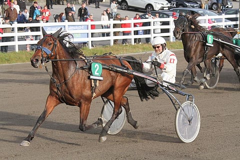 Lauri Turunen on päässyt nautiskelemaan Soul Alonen kyydistä monta kertaa. Vermossa ruunaa ohjastaa Matti Nisonen.
