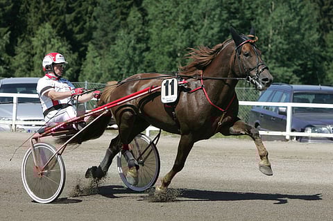 Tapio Perttunen ja Saran Salama vuonna 2006.
