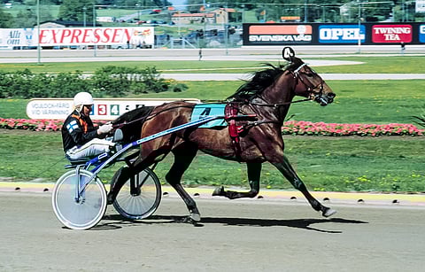 Charme Asserdal (1973 – 2002) on kenties kaikkien aikojen tunnetuin suomalainen ravihevonen.