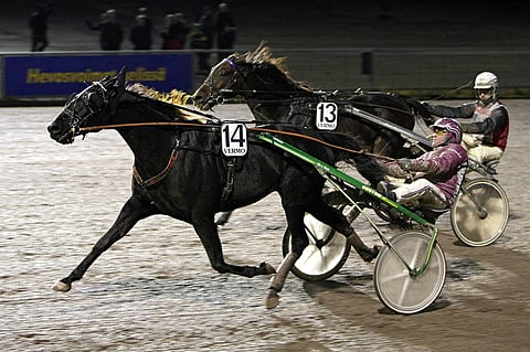 Global Kid oli vahvin Vermossa marraskuun Voimaliigassakin. Lähimmäksi pääsi silloin Blue Porschella.