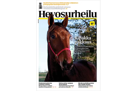 Kuukauden hevosena kipakka pakkaus