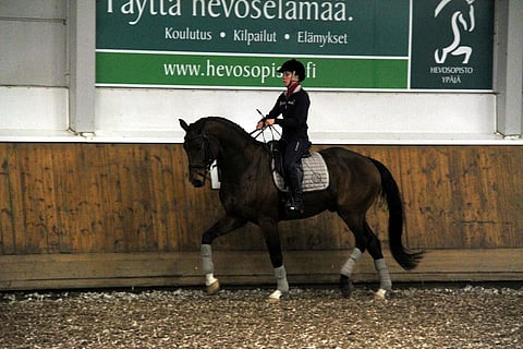 Pin Rock´s Bonapartessa oli riittävästi sähköä, jota Faurie toivoi.