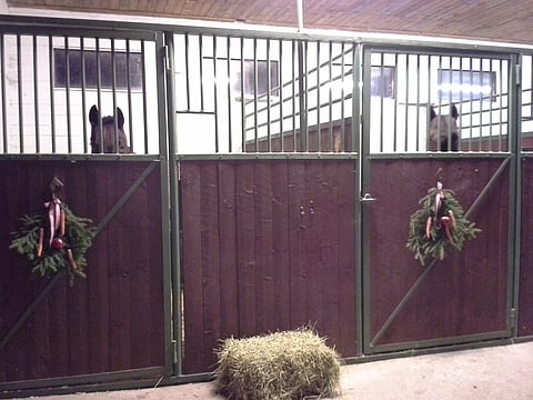 Sundsvikin tallissa karsinoiden ovissa roikkuu tänä jouluna kauniit havukoristeet.