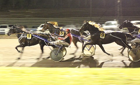 Video: Frank The Tankin ja Hannu Kamppurin voittojuoksu