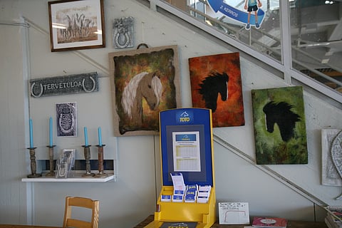 Nikulassa ravivieras tuntee olonsa totisesti tervetulleeksi, sillä asiakaspalvelu on vertaansa vailla. Kuva: Riikka Aaltonen