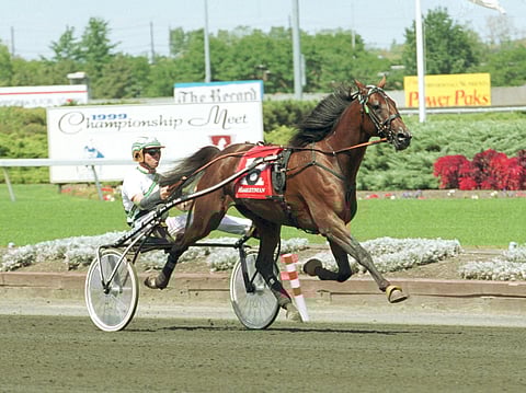 Enjoy Lavec voitti mm. Peter Haughton Memorialin. Kuva Ilkka Salokangas.