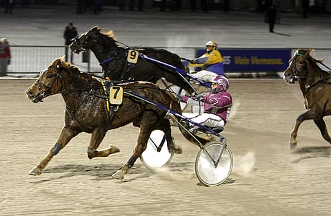 Antti Teivainen on taitava laukkaherkillä suomenhevosilla. Tällä kertaa Teivainen onnistui Iinan Maestrolla Vermossa.