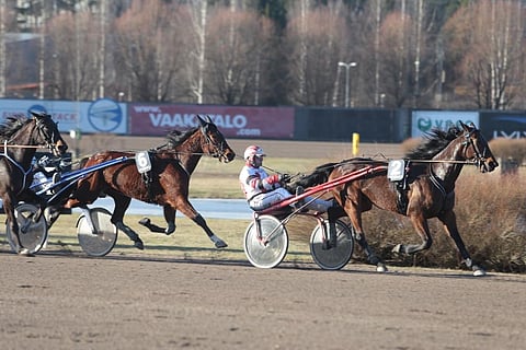 Instant Rich ja Tapio Perttunen ovat hallinneet Vermossa aikaisemminkin.