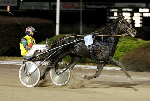 Homma hanskassa! Jukka Torvinen tuulettaa varovasti Salamakypärät-kisan voittoa - Gogo Eldorado hoitaa juoksemisen.