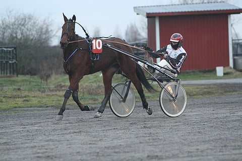 Vagabondo ja Mika Forss valmistautumassa kilpailuihin Forssassa.