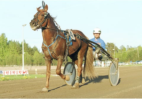 El Vihuri vuonna 2002.