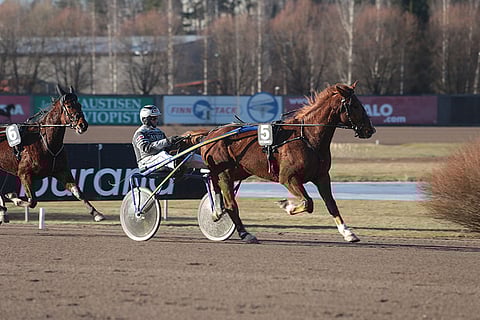 Blind Makerilla on oiva mahdollisuus ottaa revanssi Elena For Everistä.