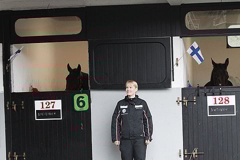 Johanna Kyläkoski viritti Suomen liput, jotta Callela Elizalla(vas.) ja Quite an Avengerilla olisi kotoisampi olo. Kuva: