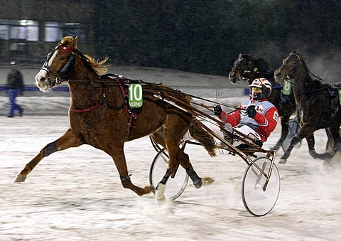 Celebration Song voitti pitelemällä ja aloitti isänsä Le Monteilin juhlat Vermossa.