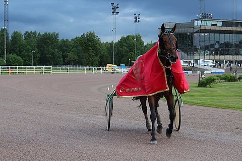 Juokse sinä humma kun tuo taivas on niin tumma.