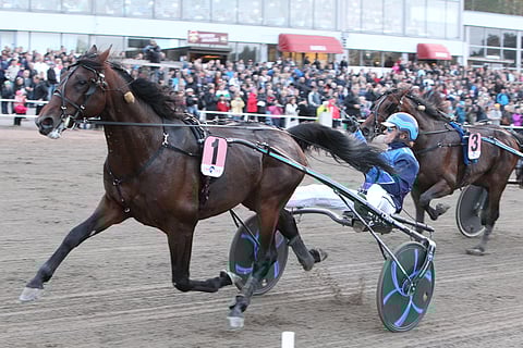 Jontte Boy ja Tuomas Korvenoja kriteriumfinaalissa 2014.