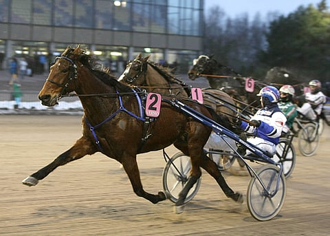 Twigs Voici lasketteli Finlandia-katsastuksen voittajaksi.