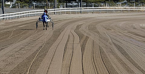 Pilvenmäen kavioura on kesäkunnossa ja kuivuu koko ajan auringonpaisteessa.