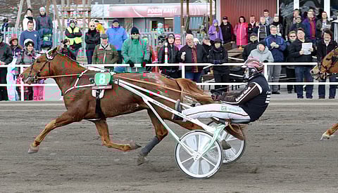 Vitter ja Mika Forss.