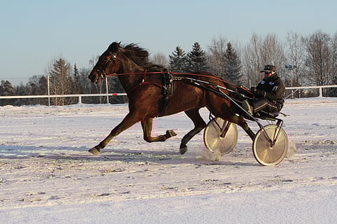 Amaretto Scoop ja Jyrki Tammimetsä tämän vuoden tammikuussa.