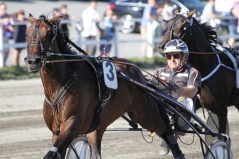 Capone Boko on valmis voittamaan suoraan talvitauolta.