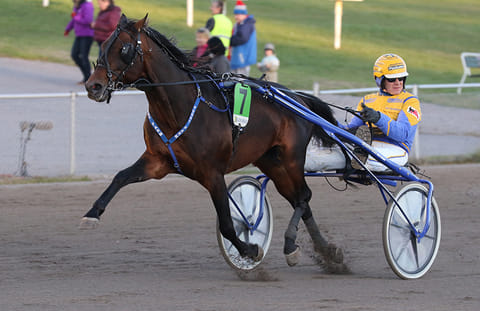 Funny Farm on päätöskohteessa liian väähn luotettu.