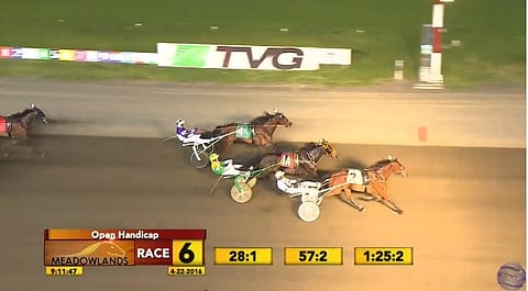 Bee A Magician kiri helppoon voittoon Gural Hanoverin ja Shake It Cerryn ohitse Meadowlandsin päälähdössä perjantaina 22.4.2016.