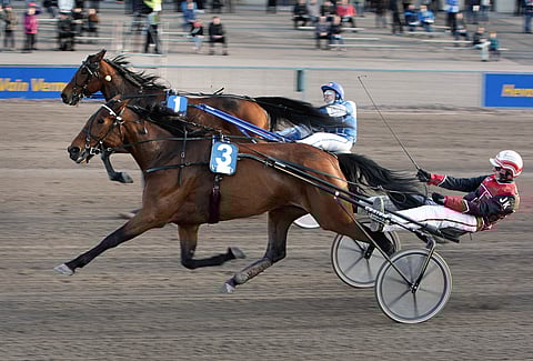 Kilvanajo oli kovaa mutta reilua Salamakypärät-avauslähdön 2016 loppusuoralla. Ready Win veti keulasta Jere Kiveisen ykköseksi. Don Carlo Birdland ja Niko Kärnä kirittivät tiukasti.