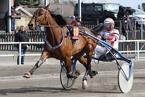 Club Nord Starilla on Jokimaalla mielenkiintoinen lähtöpaikka.