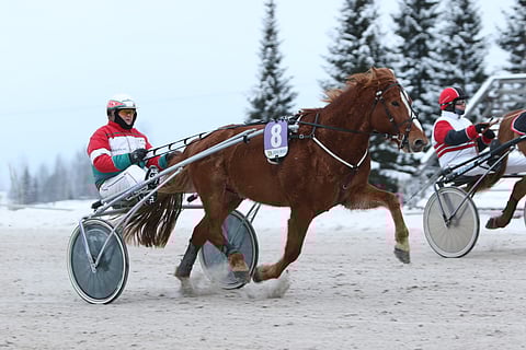 Juha-Pekka Ahonen ja Ilon Ari.