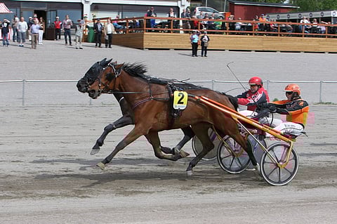 Capo The Fly ja Frank The Tank eivät saaneet eroa välilleen. Taustan upouudelta terassilta on hyvä seurata loppusuoran taisteluita.
