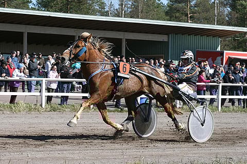 Merran Emil tavoittelee tänä vuonna toista peräkkäistä Vilperi-ajon voittoa.