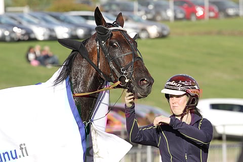 Outlaw Marci on yksi Kati Lindsbergin kolmesta valmennettavasta.