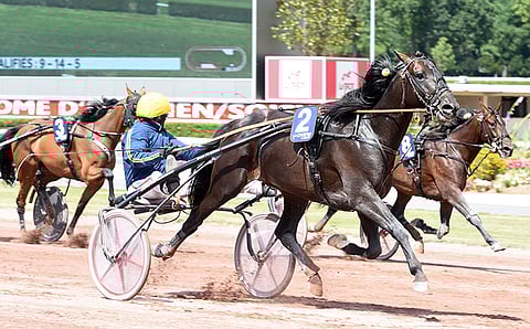 Bird Parkerin varmisti nimensä historiankirjoissa, kun se kuittasi Elitloppetissa pitkän matkan maailmanennätyksen.