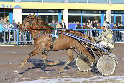 Tero E. Mäenpään valmentama Hymynkare on nyt 10-vuotias.