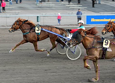 Juha-Pekka Ahonen voitti amatööriohjastajien Suomen mestaruuden pisteen erolla Janne Räisäseen ja Keijo Hakalaan. Kuvassa Ahonen ohjastaa Toto65-voiton Ilon Arilla (3) 27.4.2016 Vermossa. Kuva: Pekka Salonen